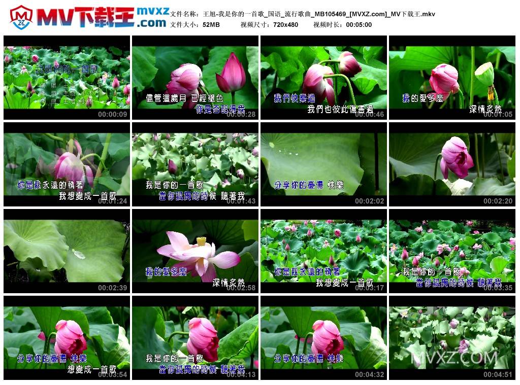 王旭-我是你的一首歌_国语_流行歌曲_MB105469